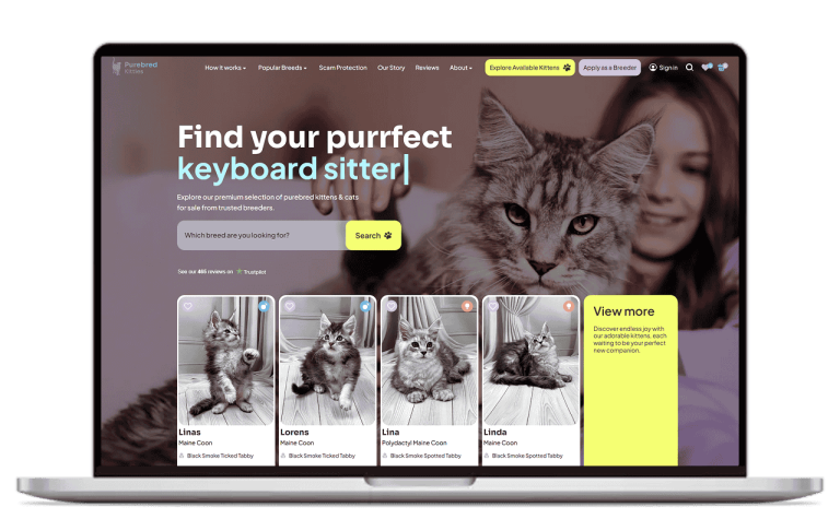 UrbanPeak — WooCommerce Store Redesign & Performance Optimization